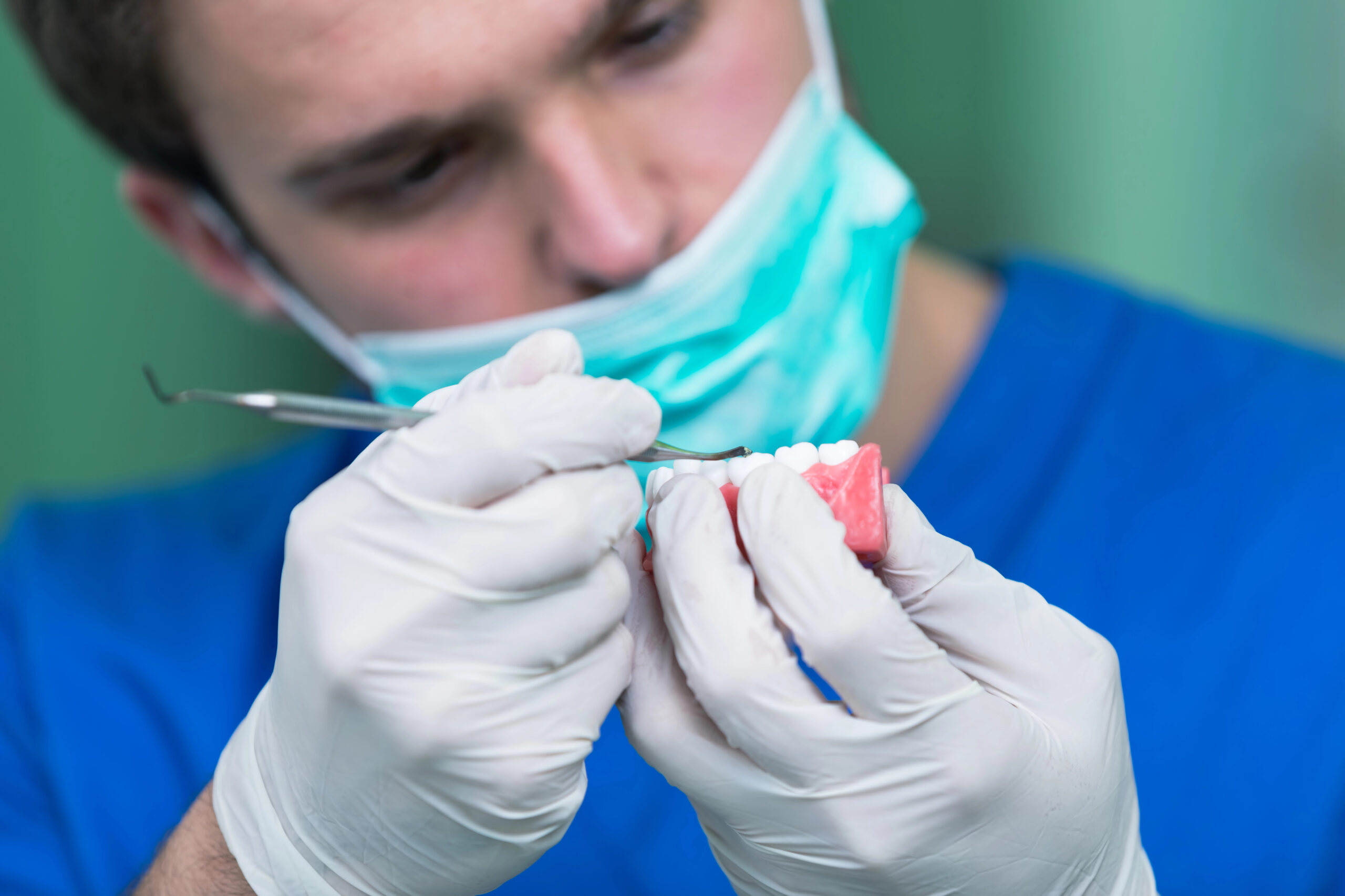 Dental professional working on a removable denture